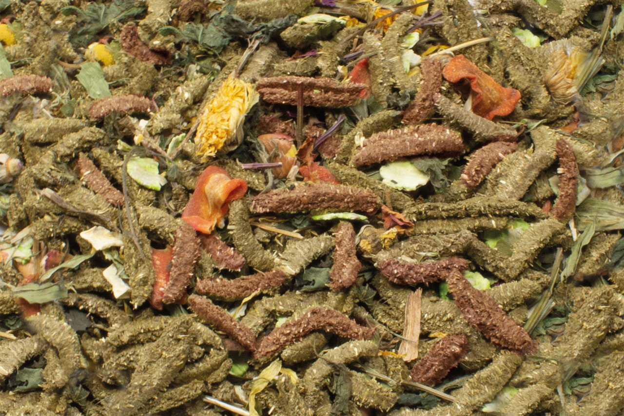 JR Grainless Health Mix Chinchilla & Degu