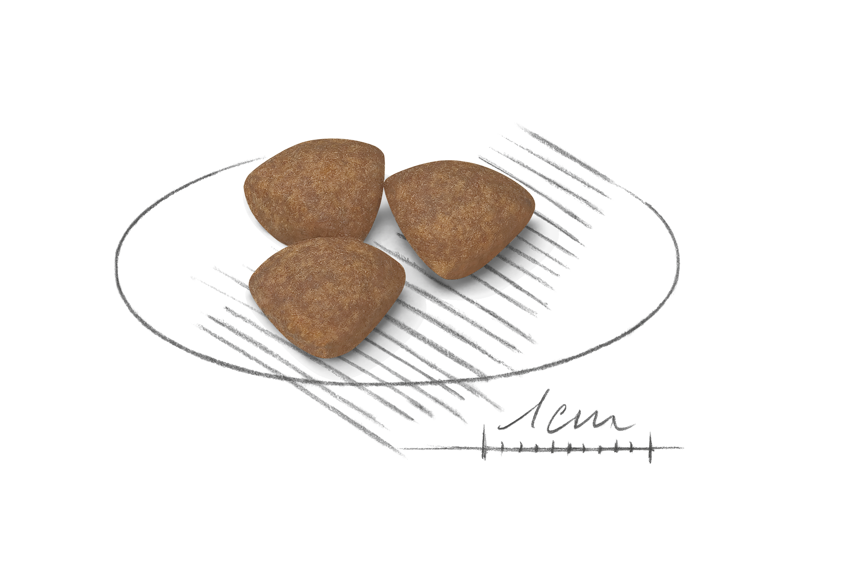 Royal Canin Mini Puppy