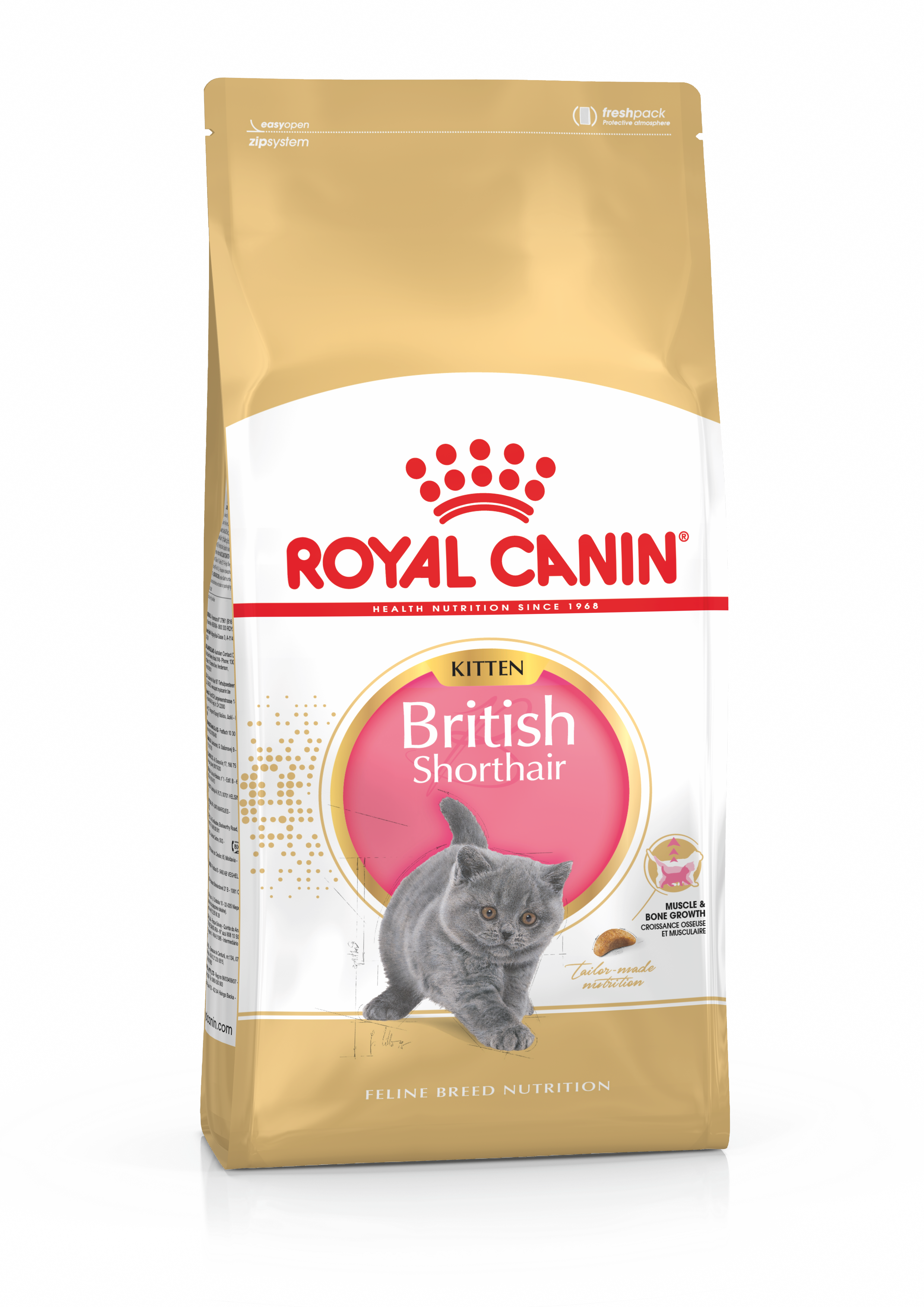 Royal Canin Kitten British Shorthair