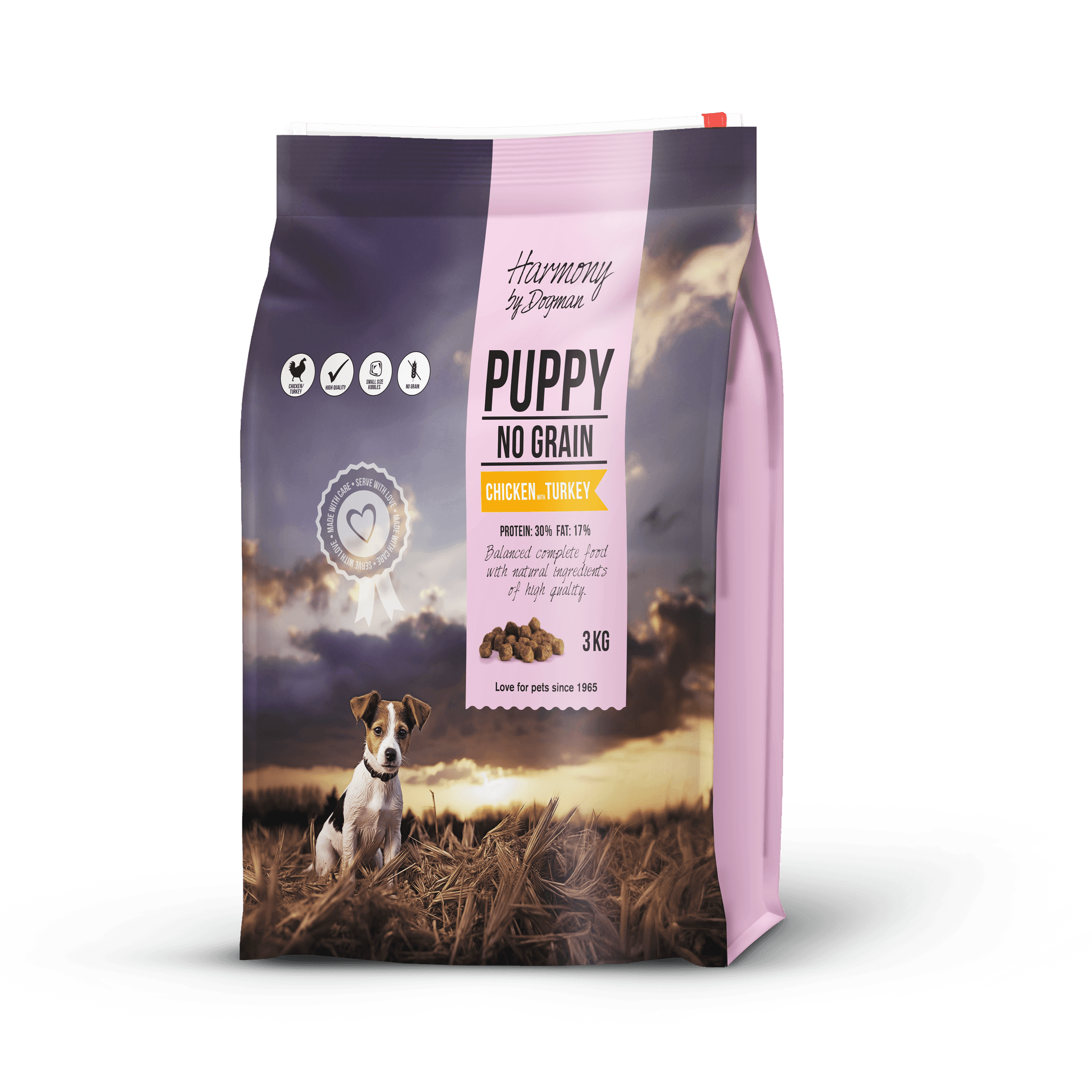 Harmony by Dogman Puppy