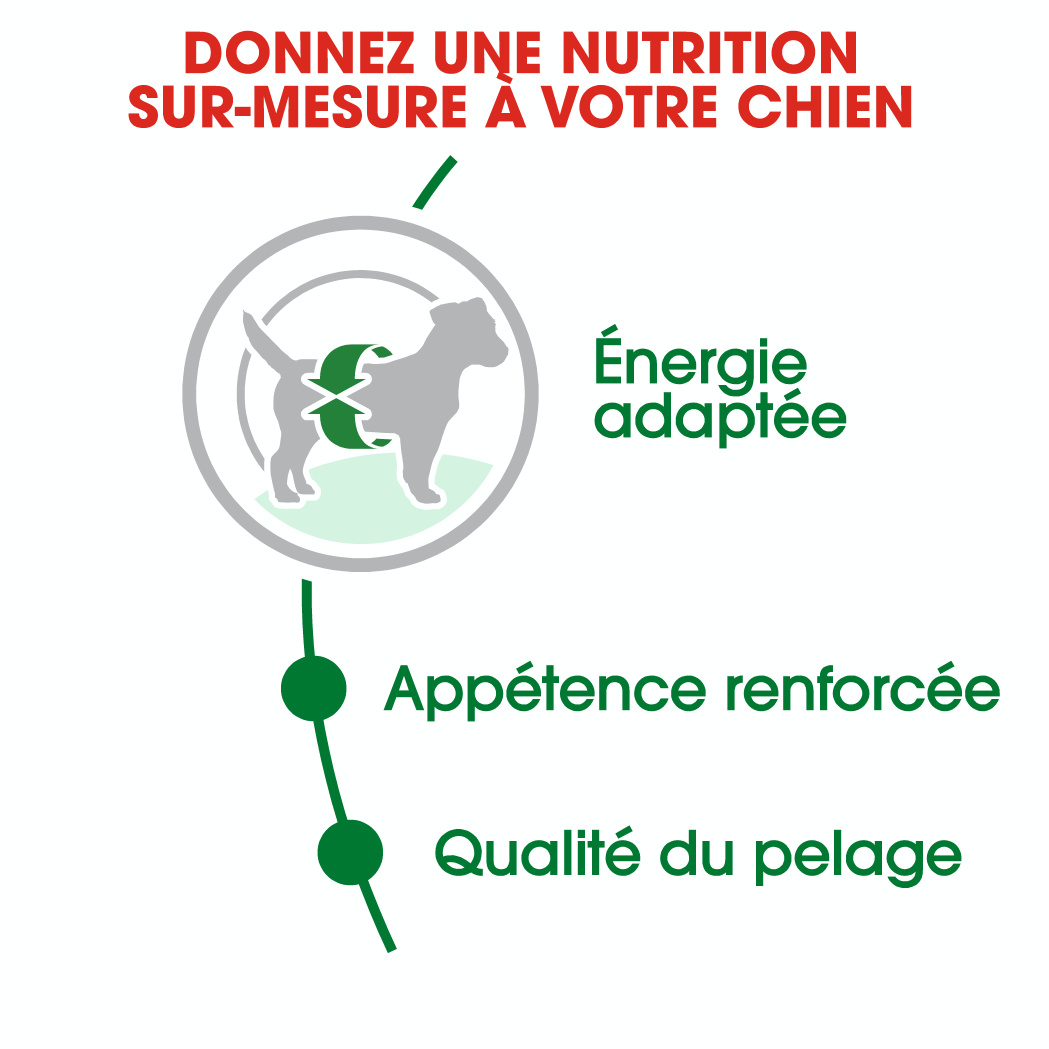 Royal Canin Mini Adult