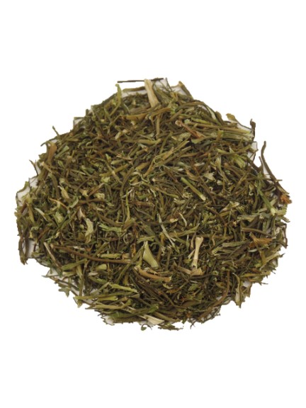 Dillkraut und Stiele