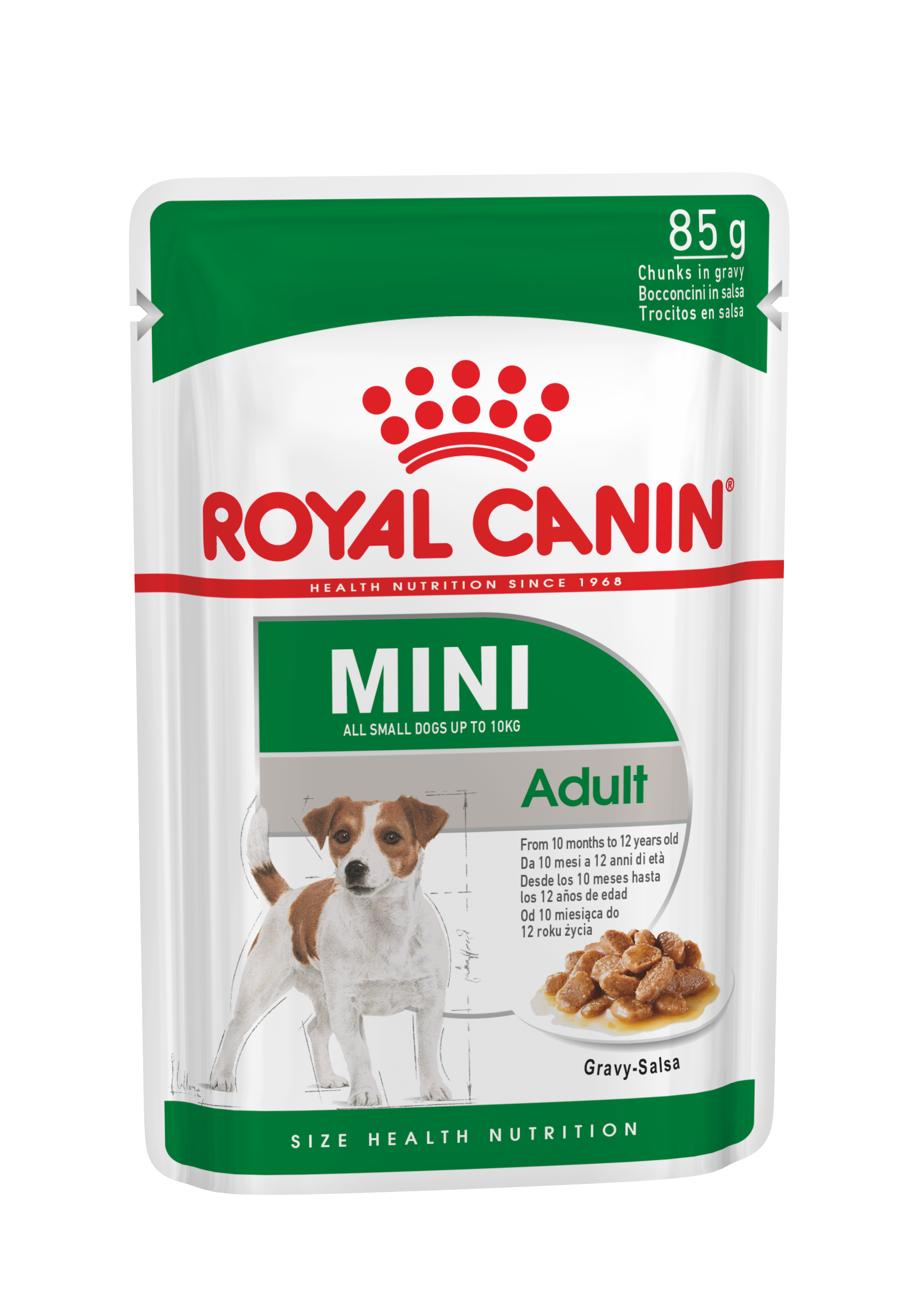 Royal Canin Mini Adult 12 x 85g