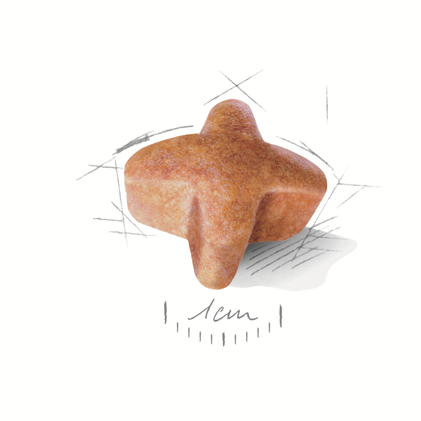 Royal Canin German Shepherd 11kg