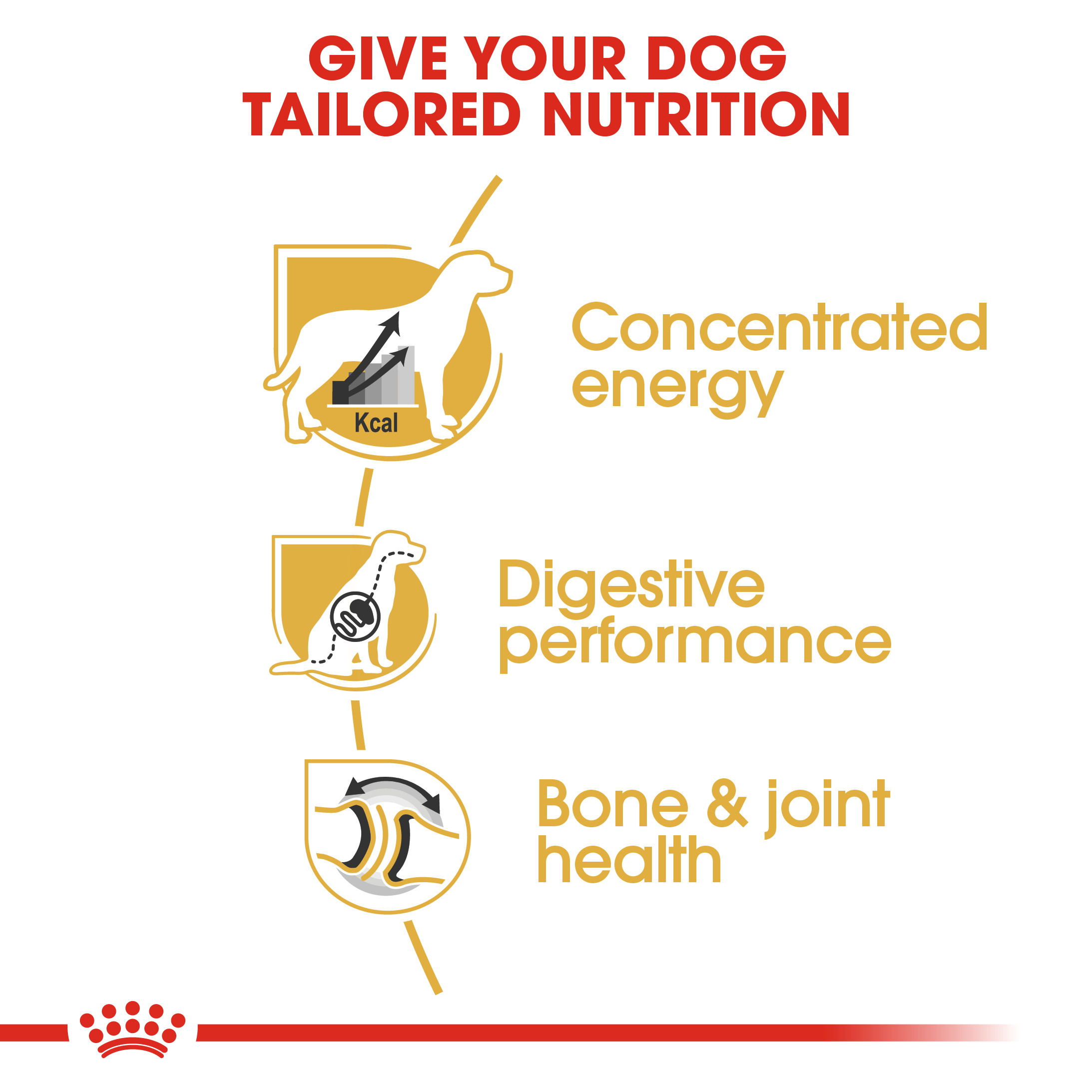 Royal Canin Great Dane 12kg