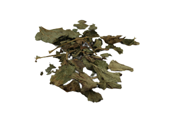 Johannisbeerblätter