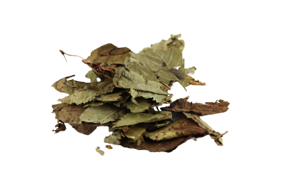 Kirschblätter getrocknet