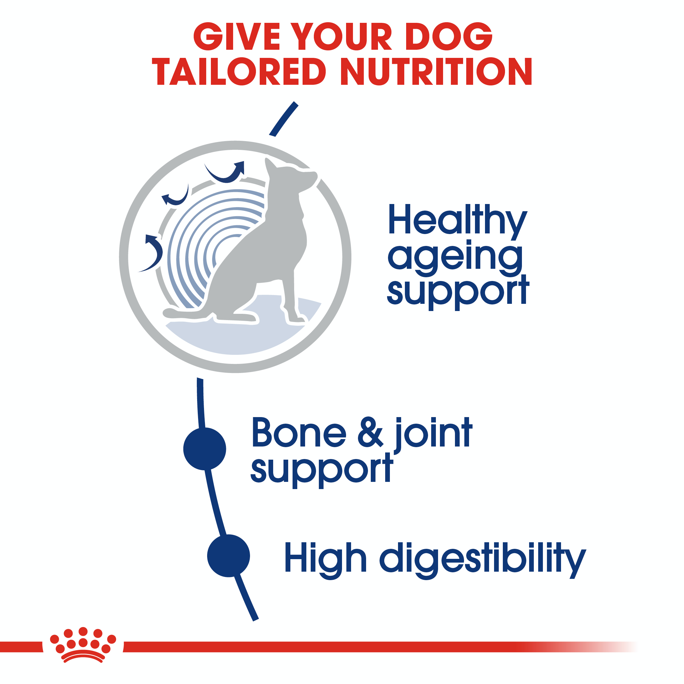 Royal Canin Maxi Ageing 8+