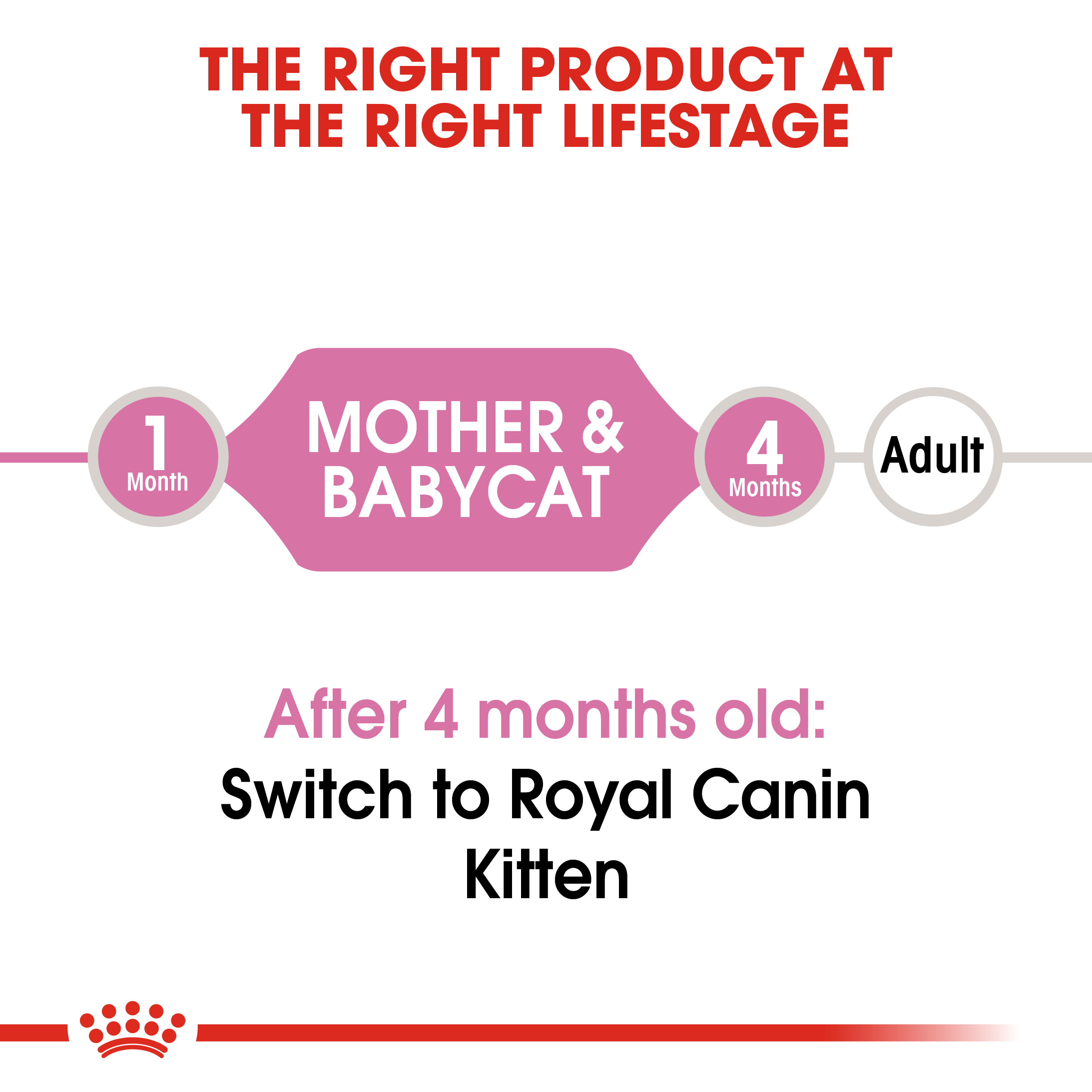 Royal Canin Mother & Babycat (Mousse) 12 x 195 g