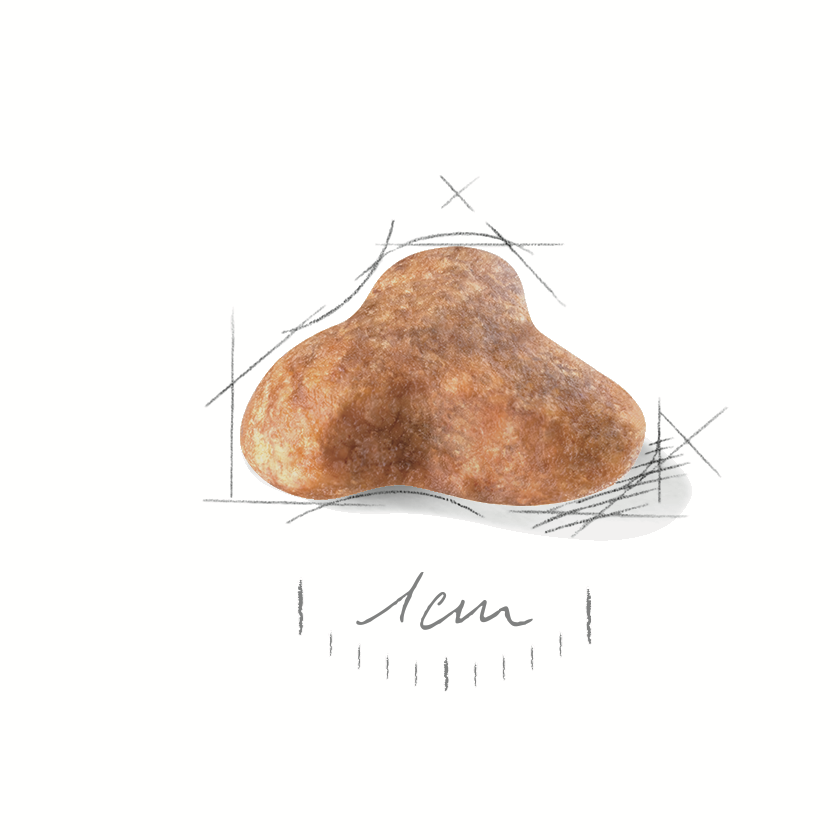 Royal Canin Mops / Carlin