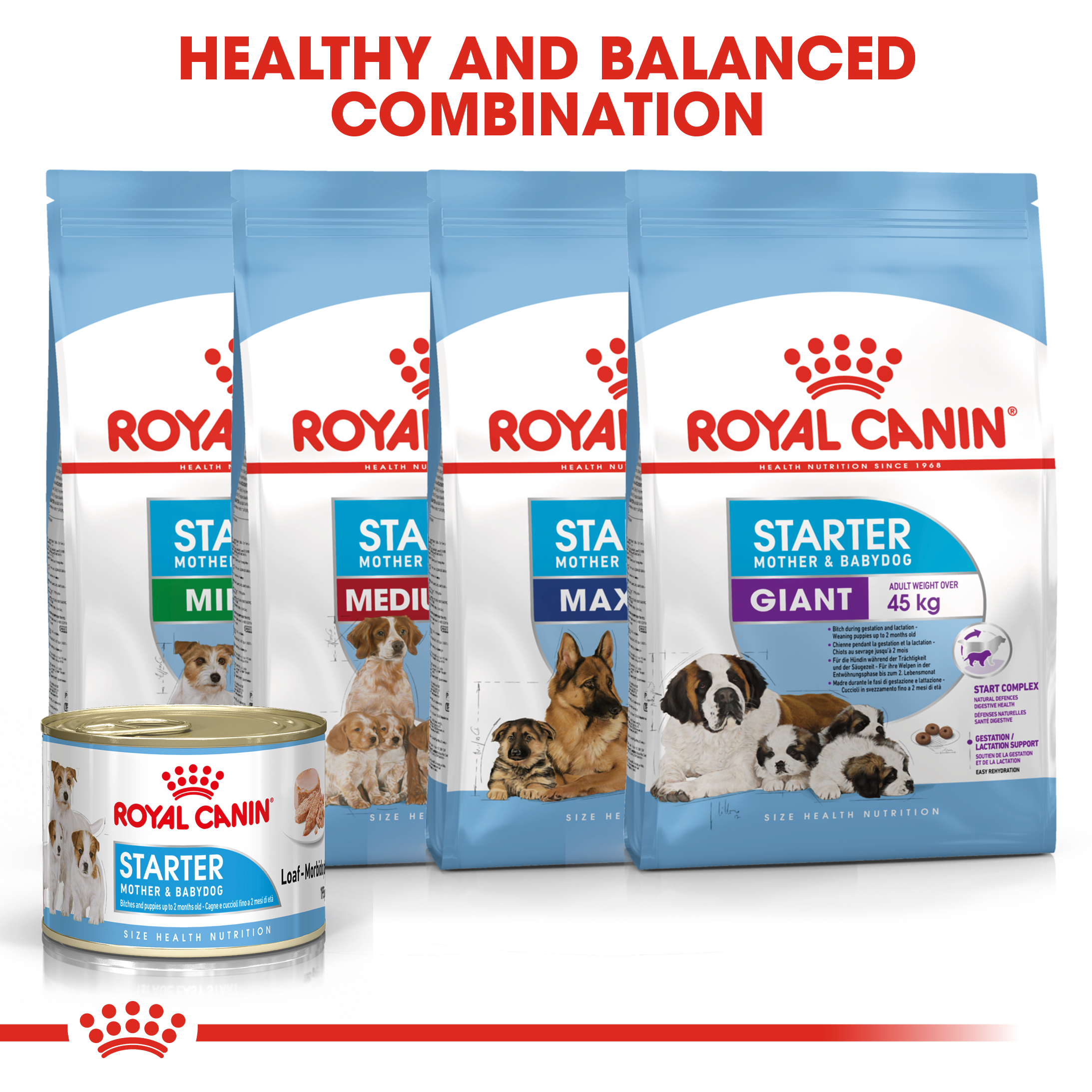 Royal Canin Starter Mousse 195g
