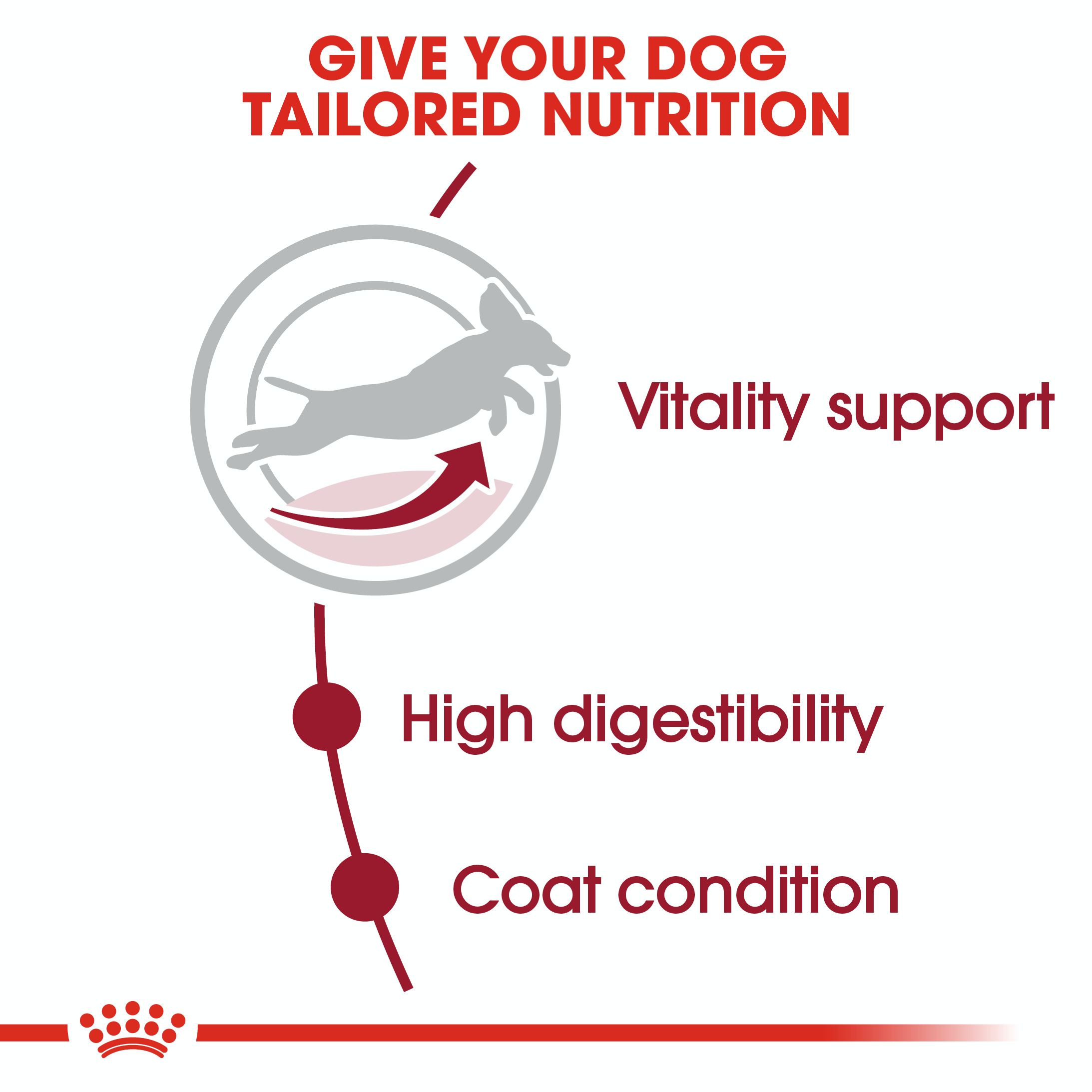 Royal Canin Medium Adult 7+