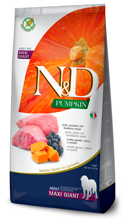 N&D Pumpkin canine Lamb & Blueberry Adult Maxi Giant