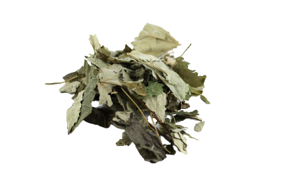 Lindenblätter getrocknet