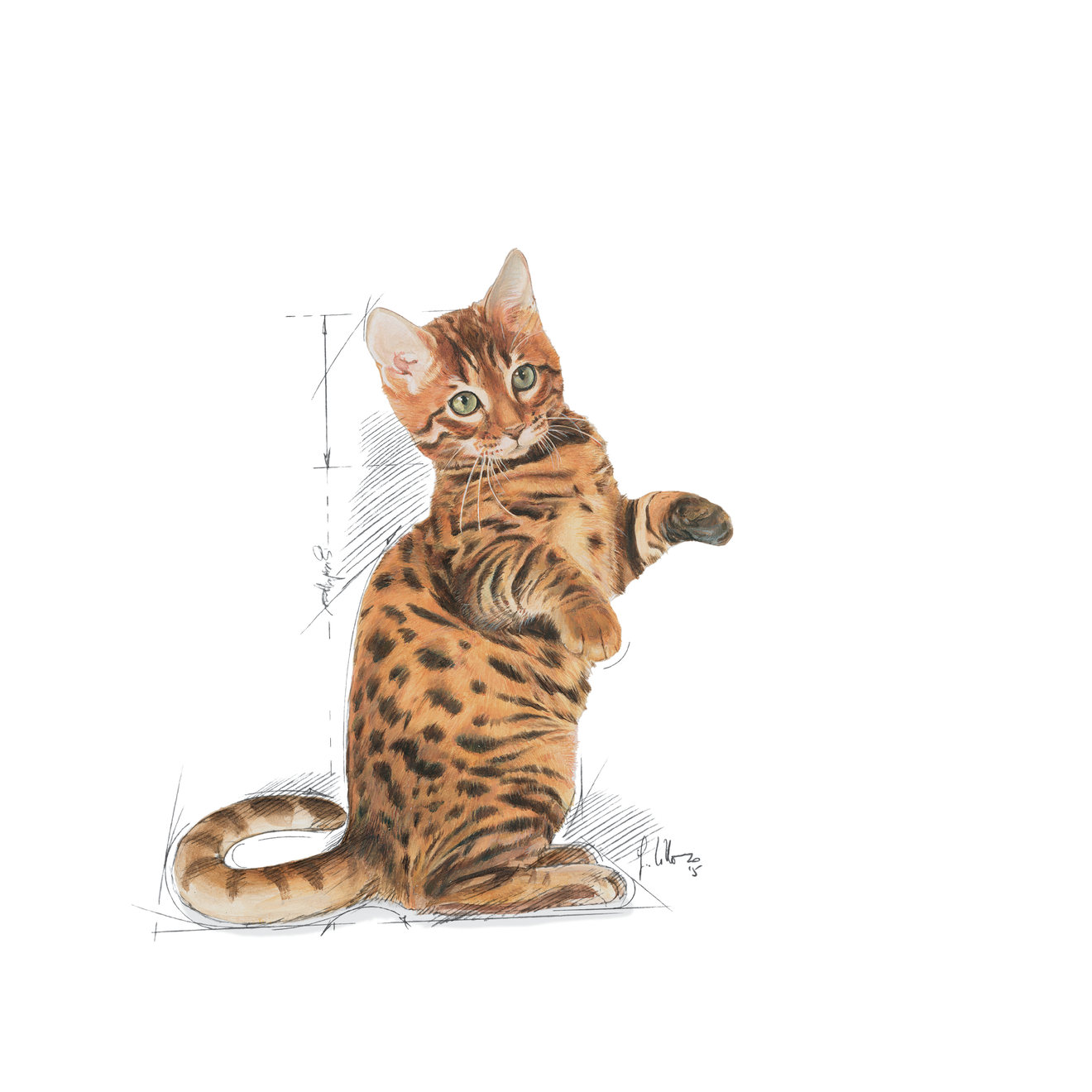 Royal Canin Kitten Sterilised