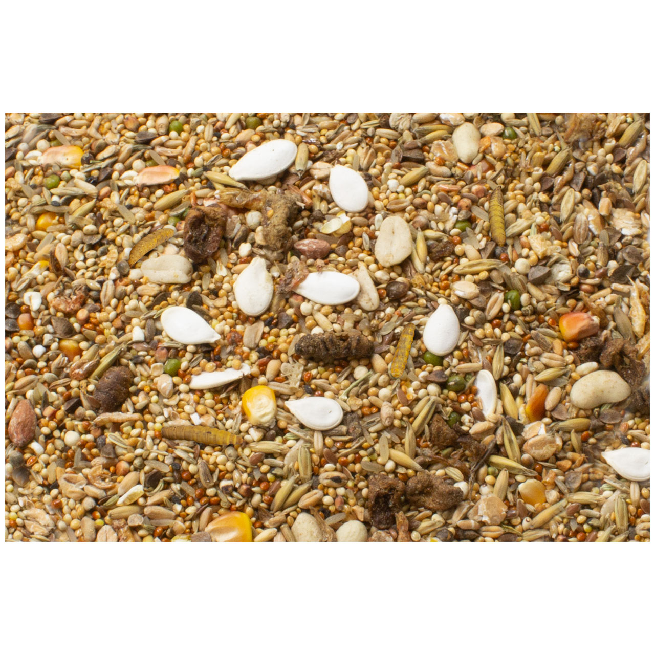 JR FARM Zwerghamster-Schmaus