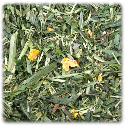 JR Farm Grüner Mais