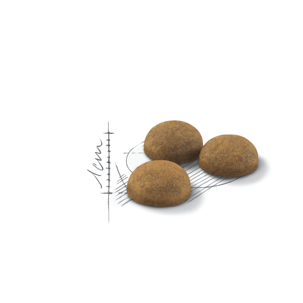 Royal Canin Indoor Longhair