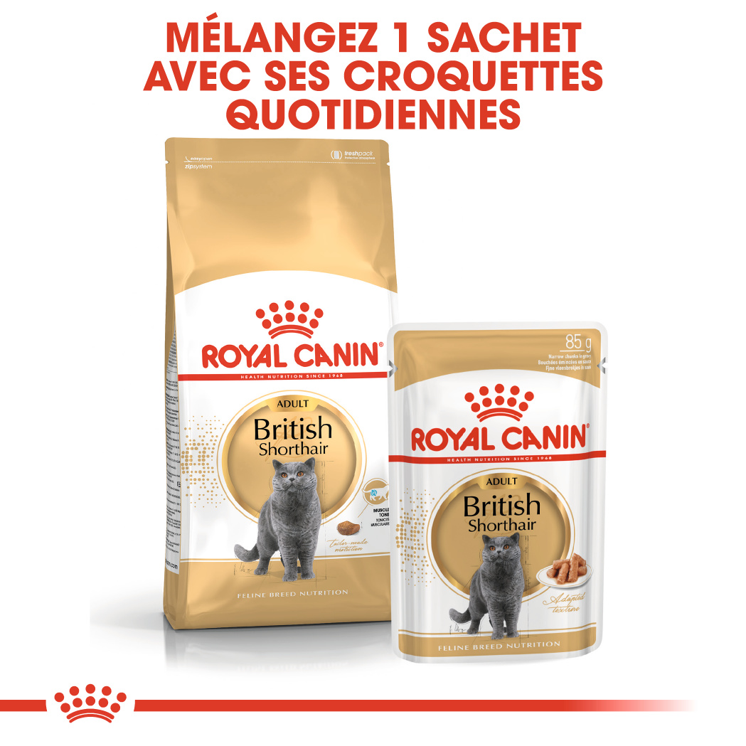 Royal Canin British Shorthair (Sauce) 12 x 85g