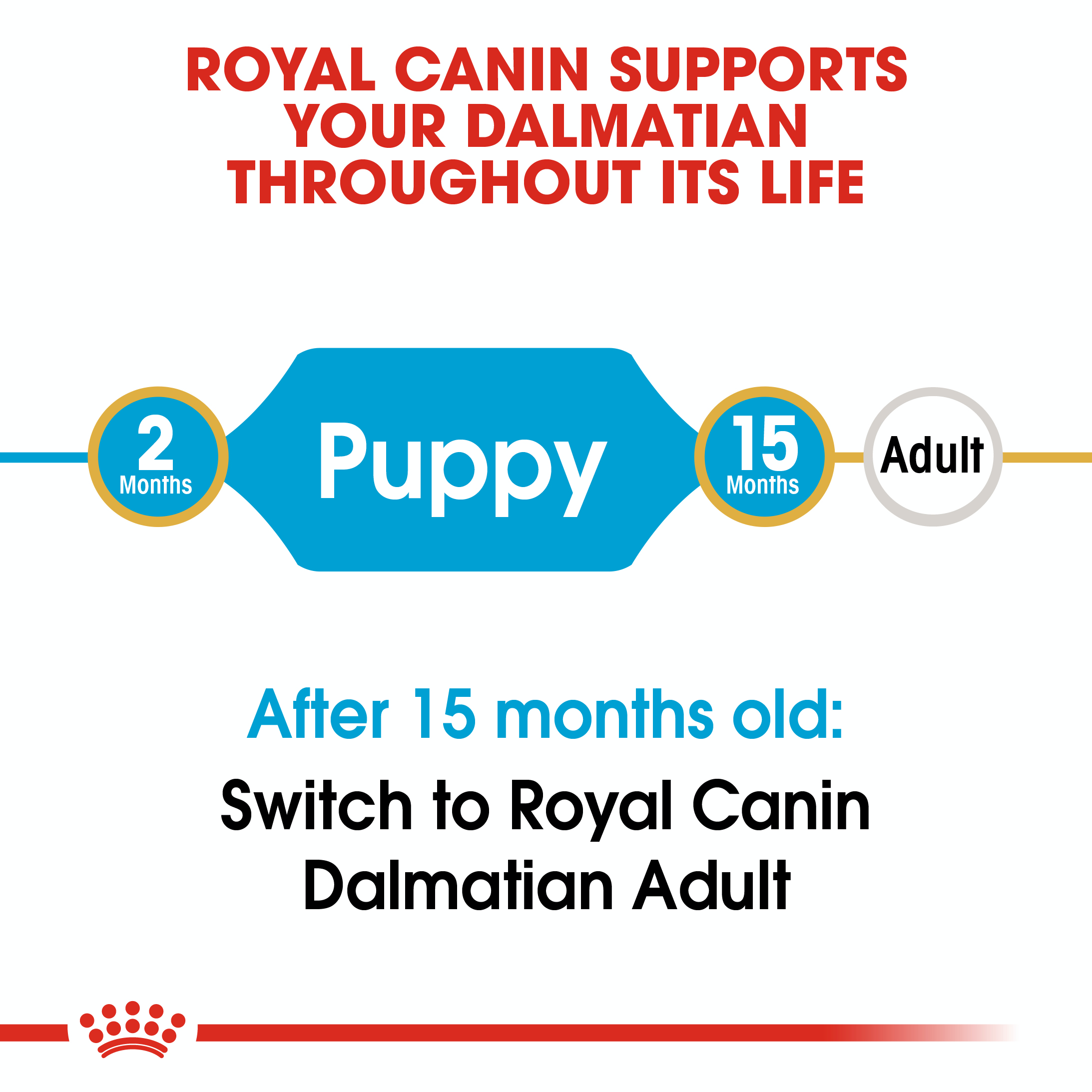 Royal Canin Dalmatian Junior 12kg