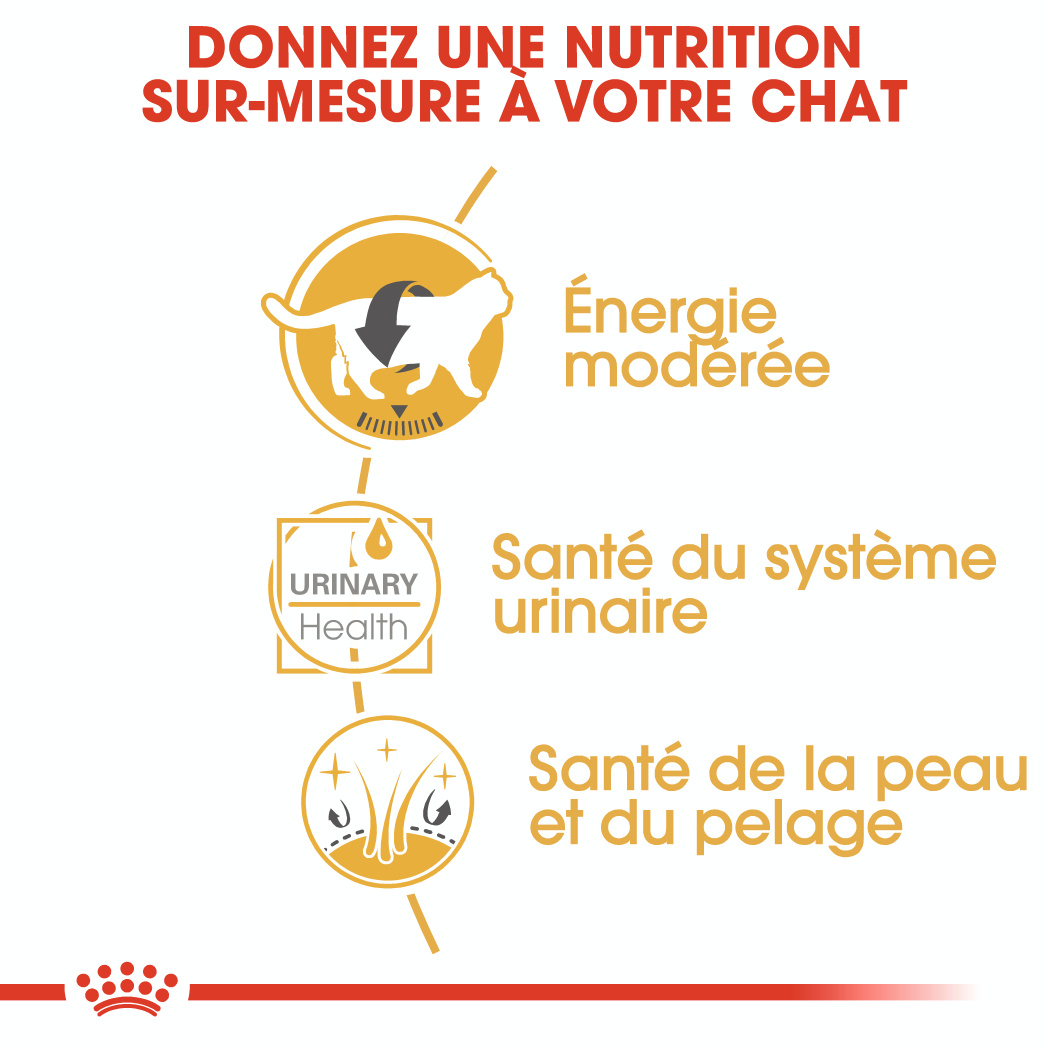 Royal Canin British Shorthair (Sauce) 12 x 85g