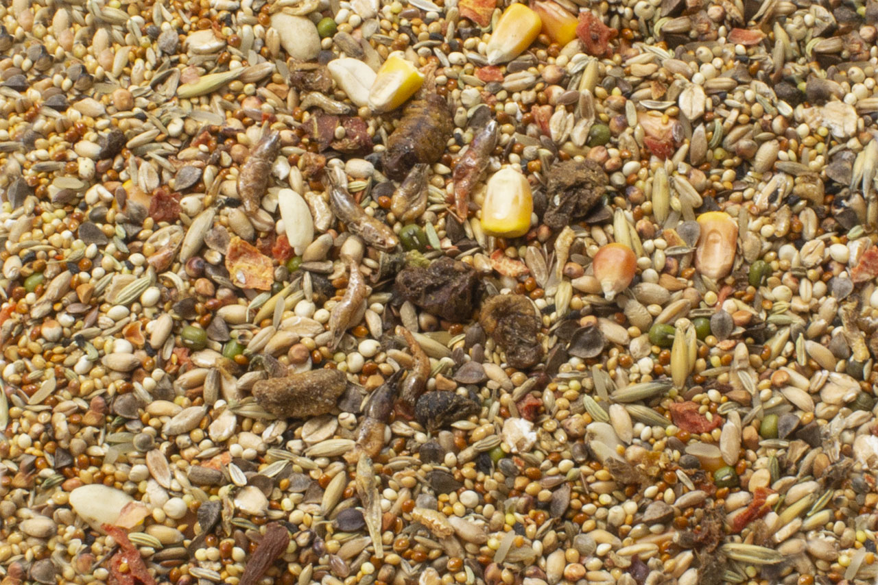 JR FARM Hamster-Schmaus