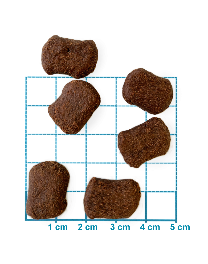 Swiss Natural Soft ADULT Rind & Kartoffel