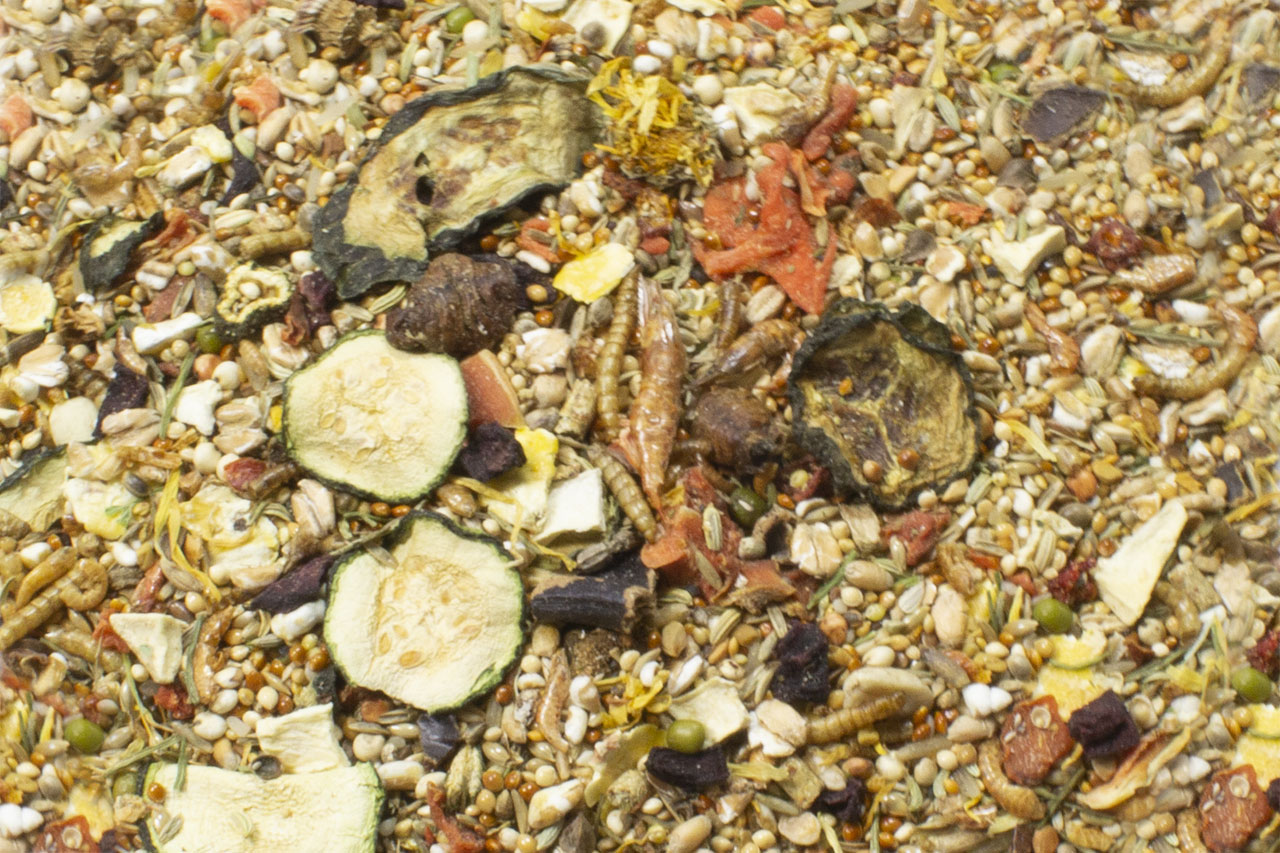 JR Farm Food Maus Adult 500 g