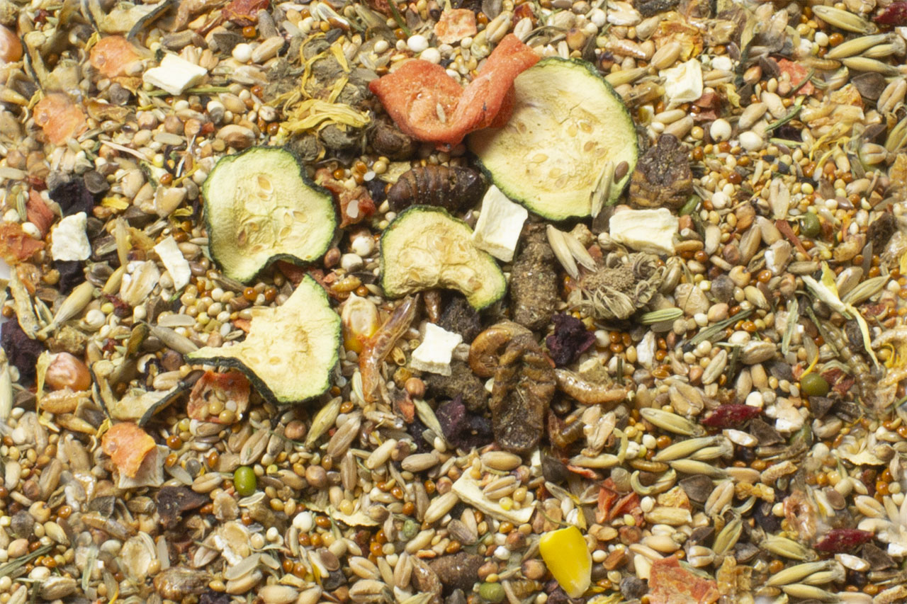 JR Farm Food Rennmaus Adult 500 g