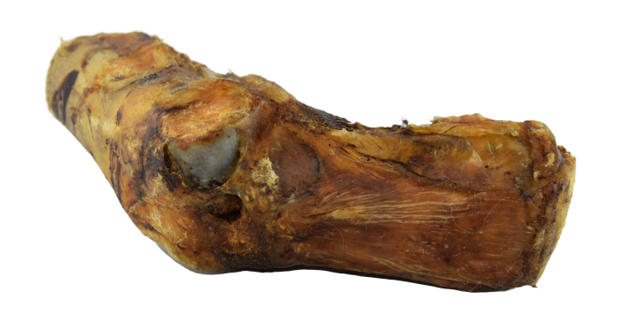 Pferde-Knochen mit Achillessehne klein