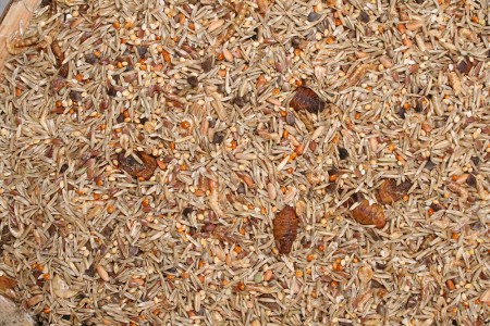 JR Farm Kleinnager-Spezial