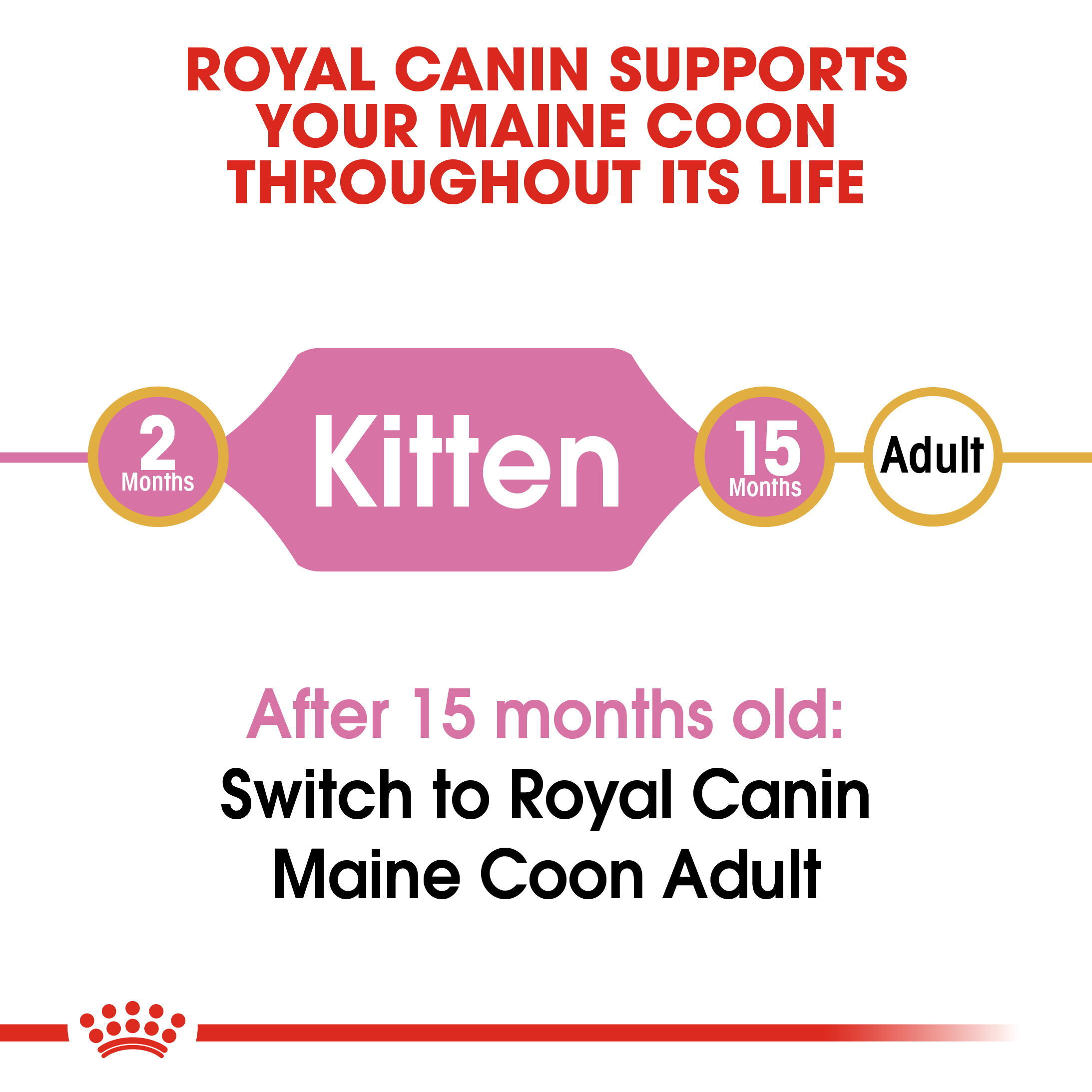 Royal Canin Kitten Maine Coon