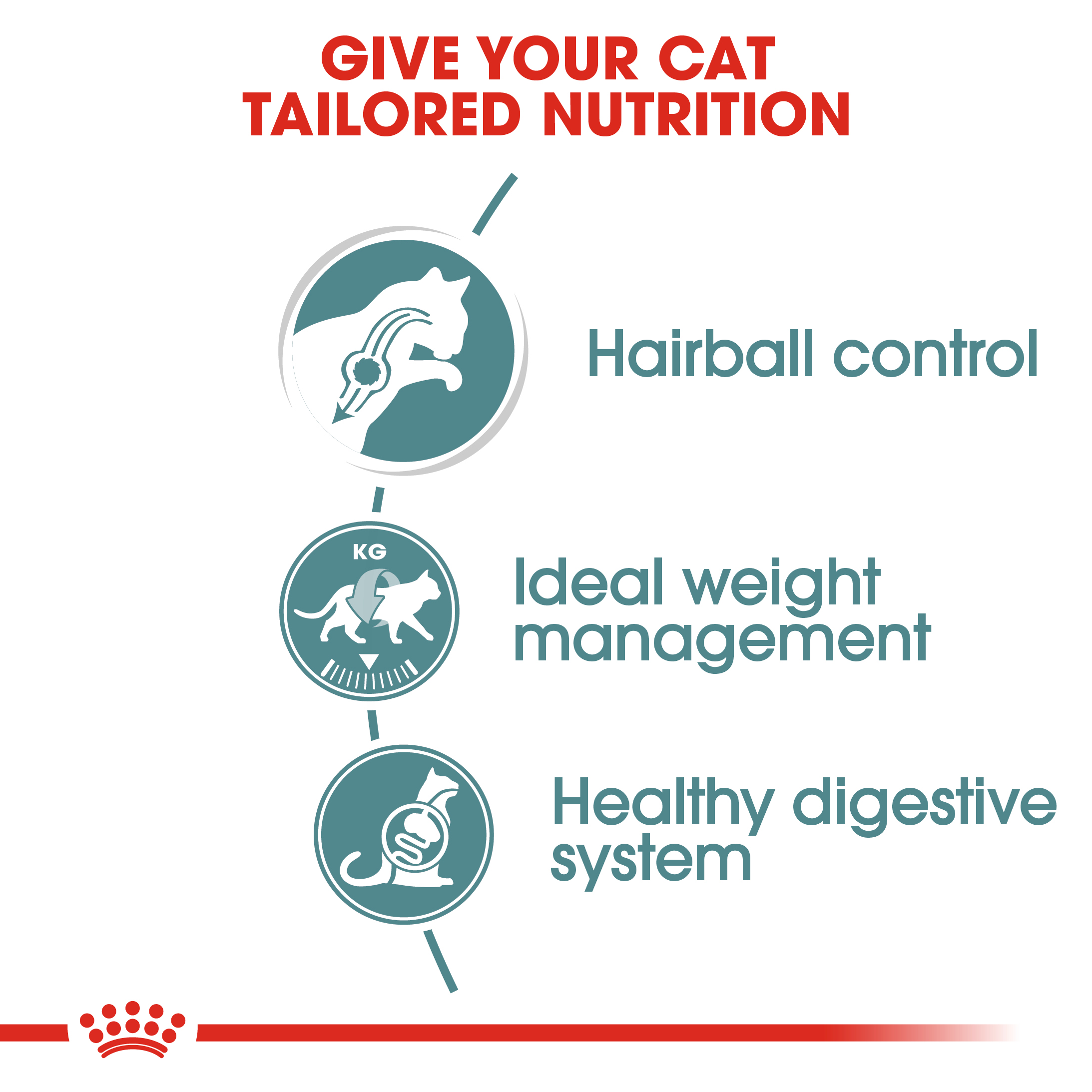 Royal Canin Hairball Care (Sauce) 12 x 85 g