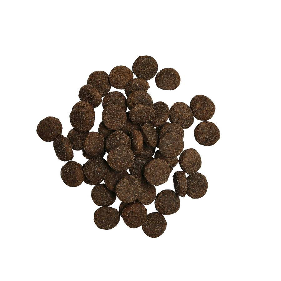 Harmony by Dogman Adult Lamm Singel Protein