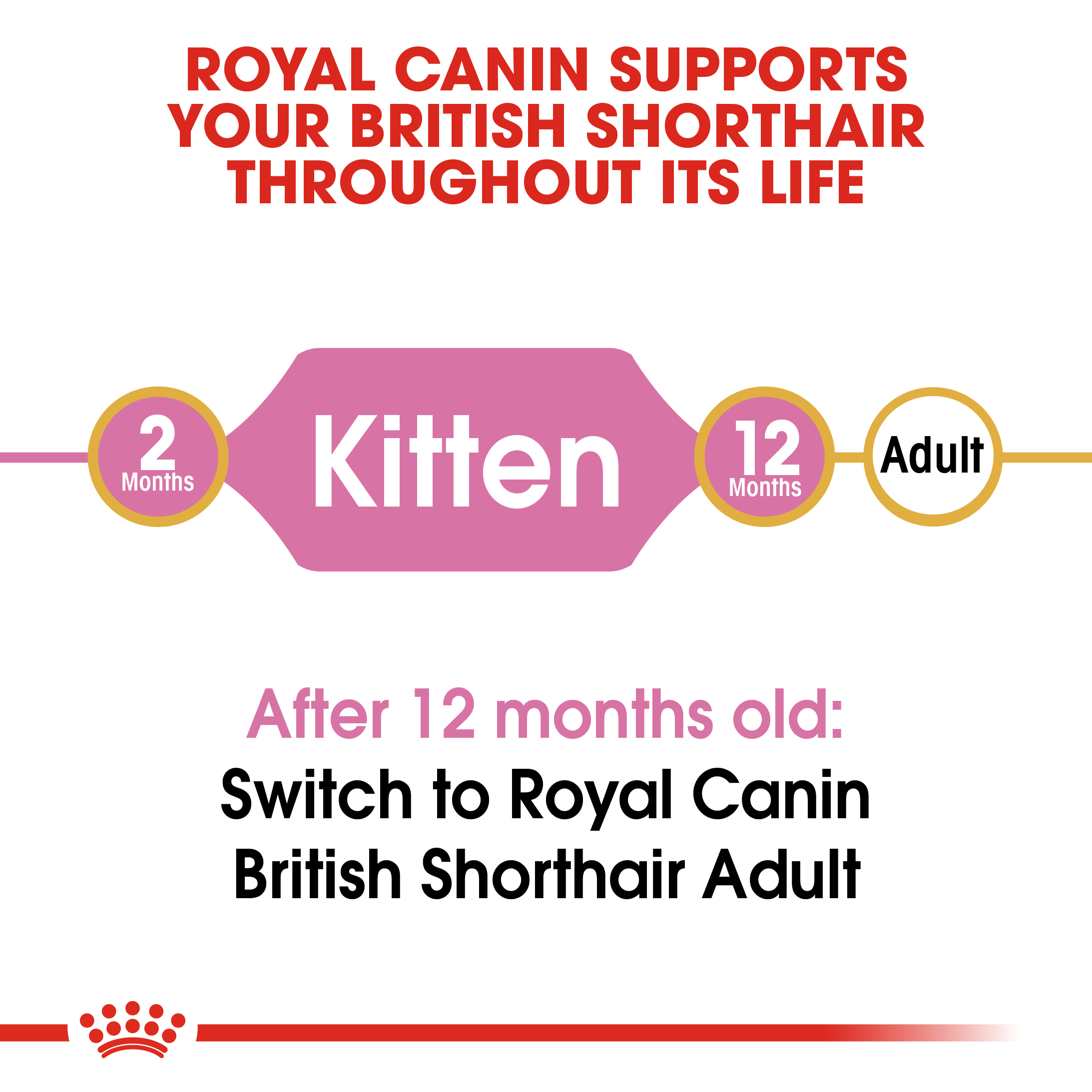 Royal Canin Kitten British Shorthair