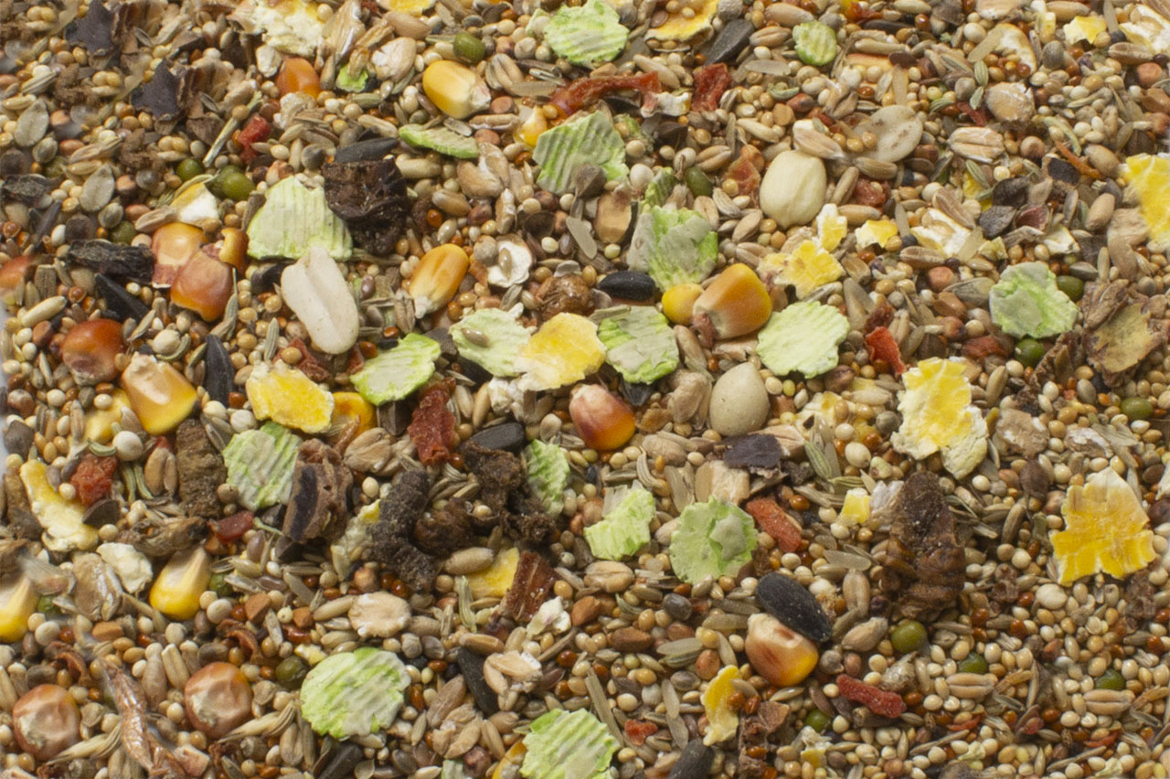 JR FARM Rennmäuse-Schmaus